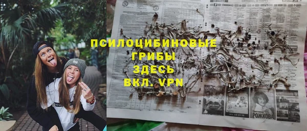амфетамин Белокуриха