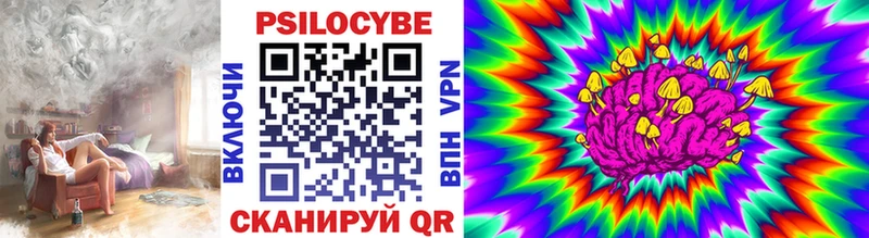 Купить закладки  Ковров  Галлюциногенные грибы мицелий 